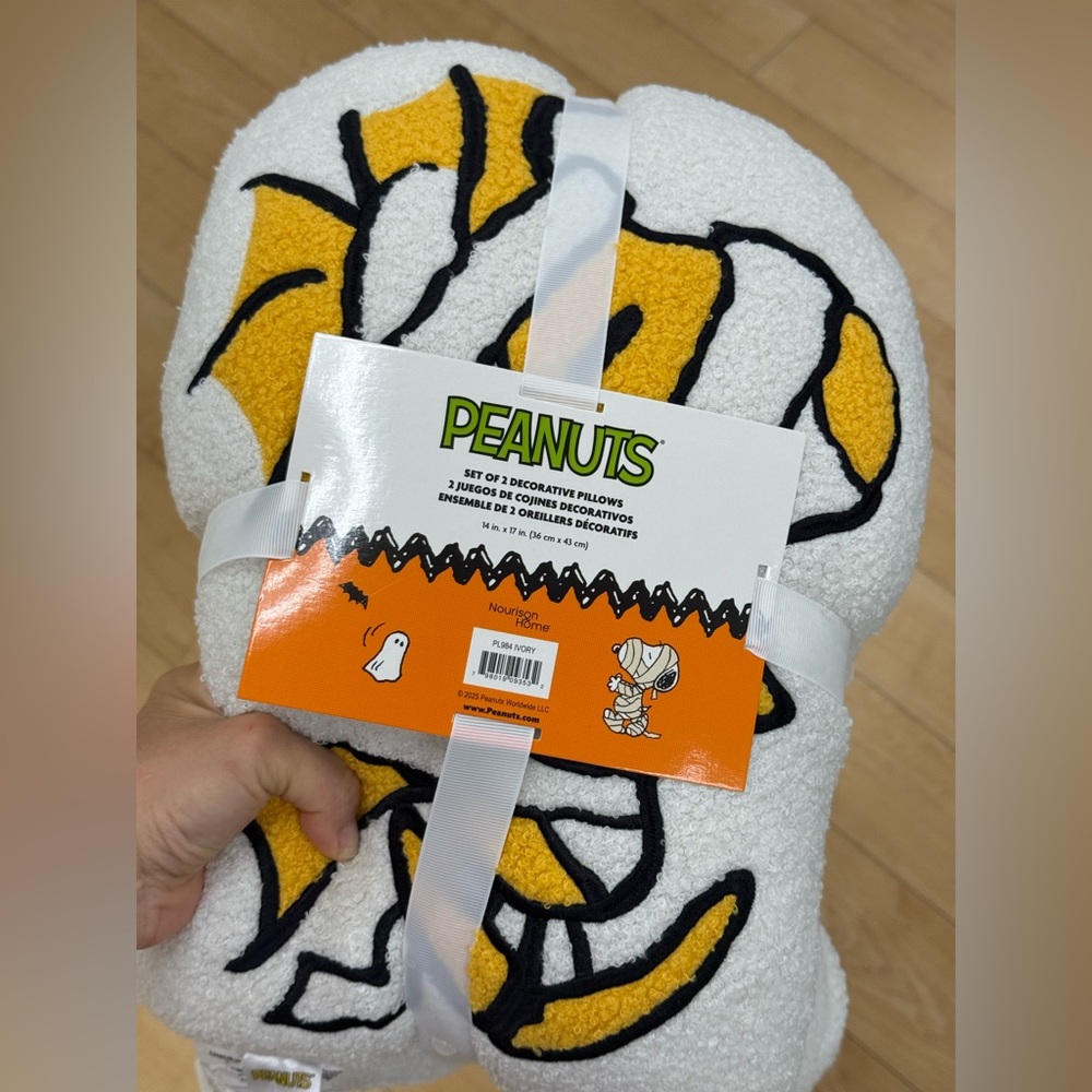 Peanuts Decorative Pillows Set 2